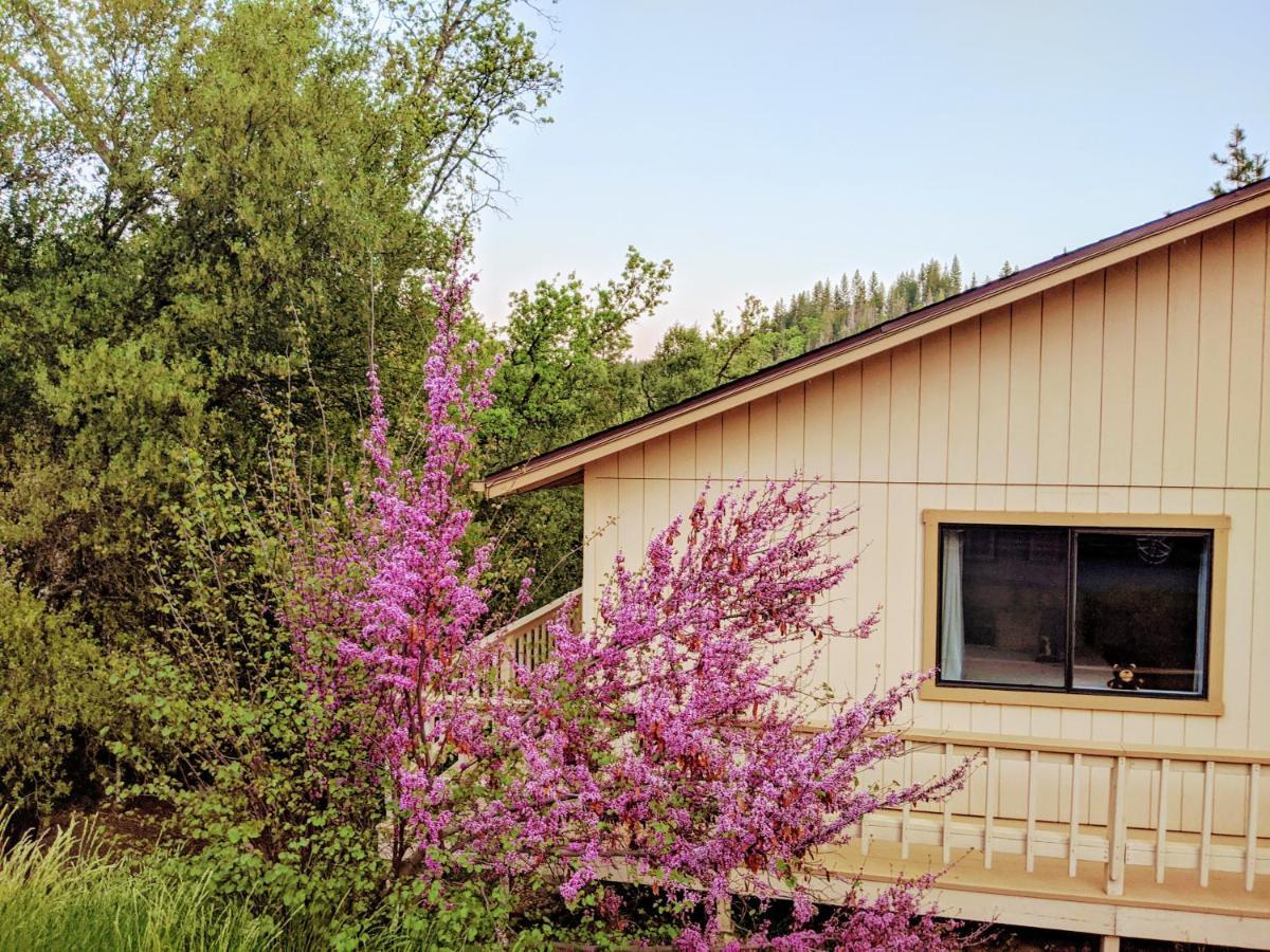 Yosemite Haven @ Pine Mountain Lake. Dog Friendly! Groveland Exterior photo